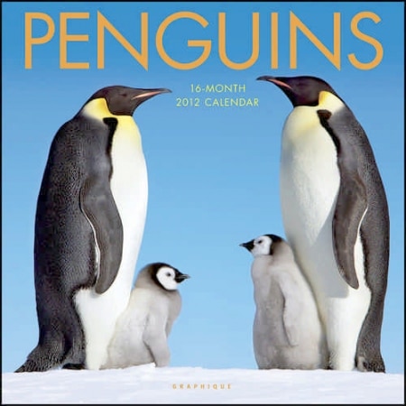Tendenze per l&#8217;Autunno: i Pinguini