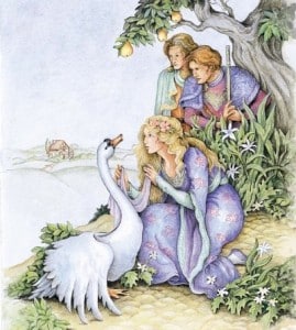 the-wild-swans-story-9