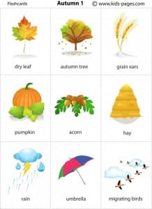 flashcards sull'autunno