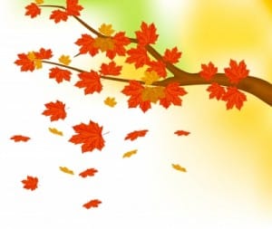 five_autumn_leaves