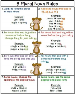 inforgrafica_plurale