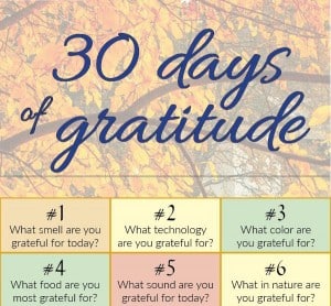 30-days-gratitude-infographic2