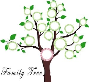 family tree