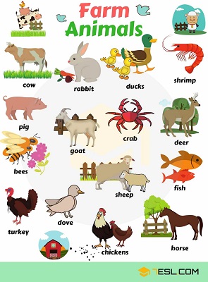 Nomi Degli Animali Poster Da Stampare Il Blog Dell Inglese Per I Bambini