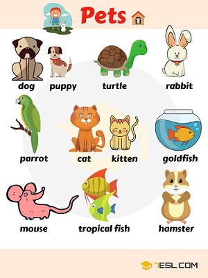 Nomi Degli Animali Poster Da Stampare Il Blog Dell Inglese Per I Bambini