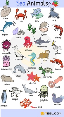Nomi degli animali: poster da stampare