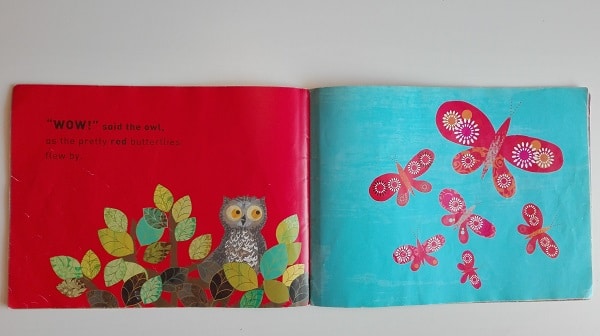 Wow! Said the owl &#8211; Libro sui colori