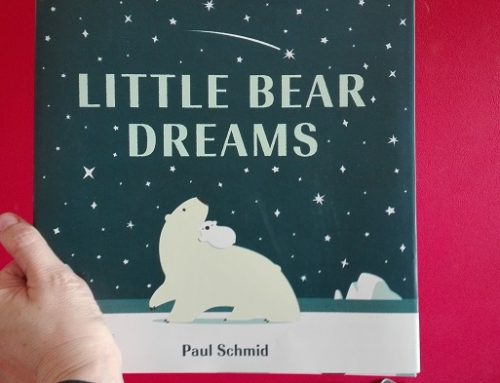 Little Bear Dreams