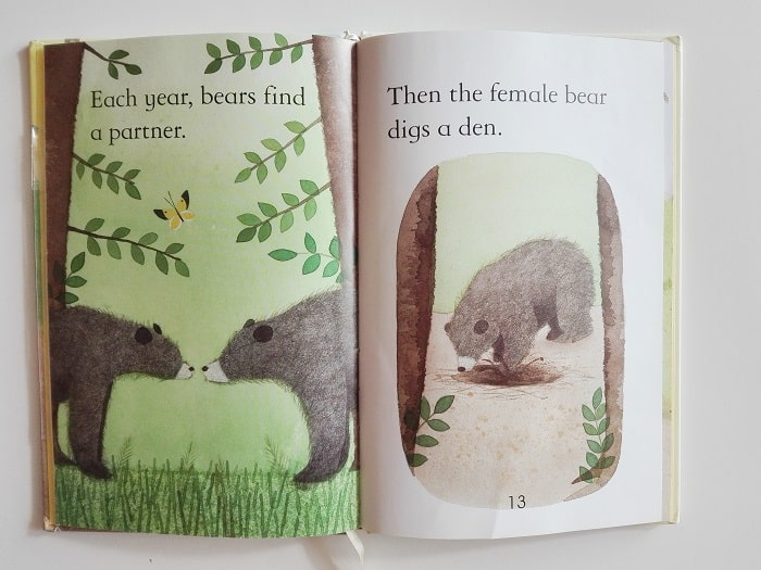 Bears. Un libro per scoprire il mondo degli orsi