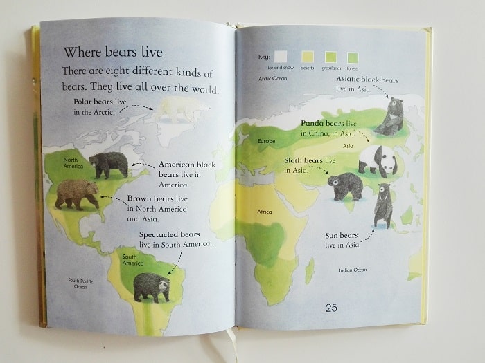 Bears. Un libro per scoprire il mondo degli orsi