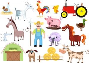 animali della fattoria in inglese
