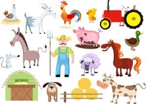 animali della fattoria in inglese